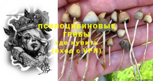 хмурый Алзамай