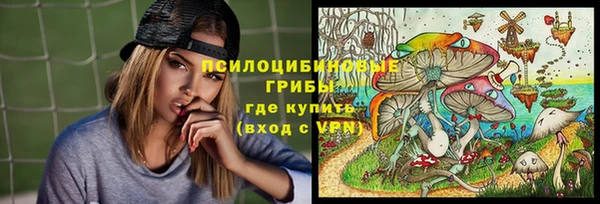 хмурый Алзамай
