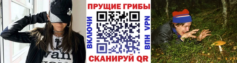 Галлюциногенные грибы ЛСД мориарти телеграм Пласт