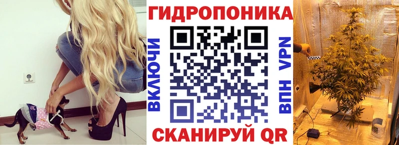 Каннабис OG Kush Пласт